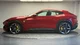 FERRARI PUROSANGUE